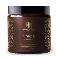 chaga